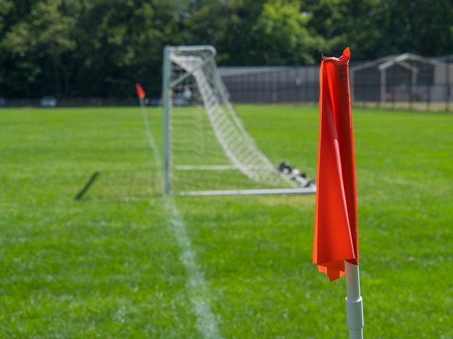 征和精神支 征和精神支