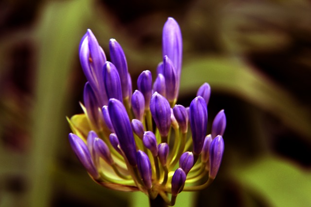 更是用规则 更是用规则