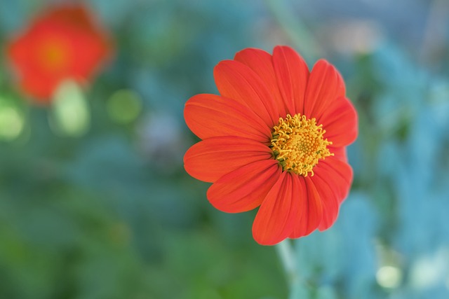 比赛中的坚 比赛中的坚