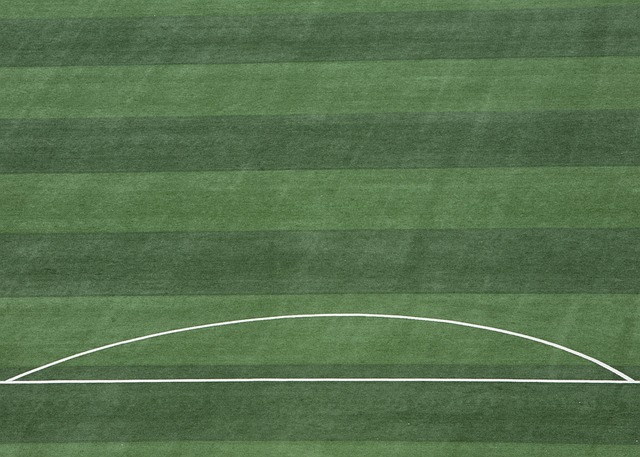 威尔逊20+7克洛尼伤退普尔9中2 篮网胜奇才止6连败.