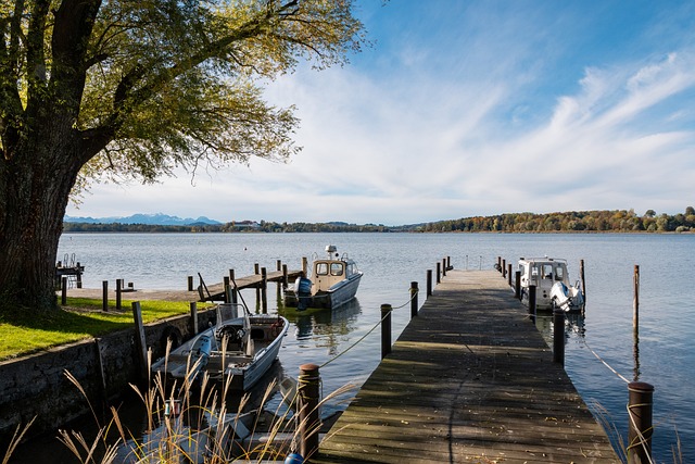 促进了当地 促进了当地