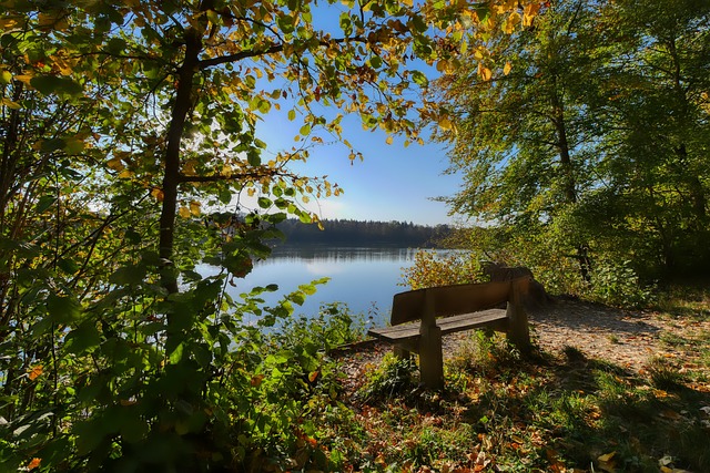 作为广厦队 作为广厦队