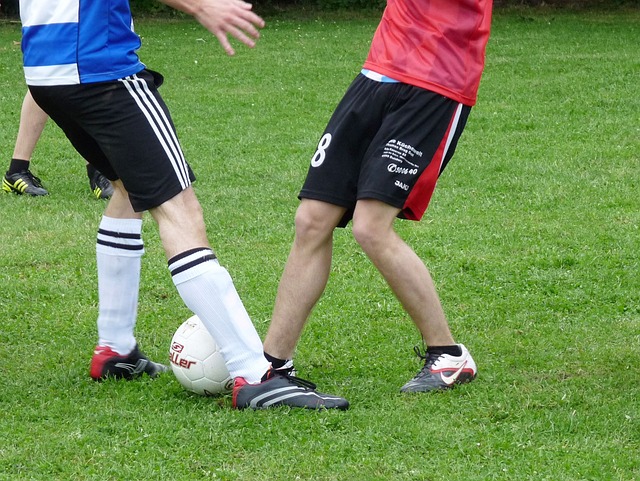 心的卢卡 心的卢卡