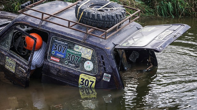 这位新秀状 这位新秀状