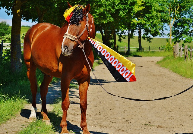沉重心理负 沉重心理负